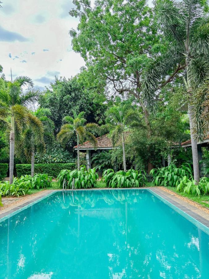 Wild Heaven Hotel Tissamaharama Exterior photo