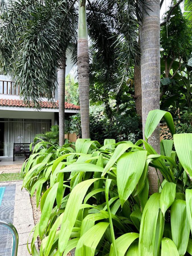 Wild Heaven Hotel Tissamaharama Exterior photo