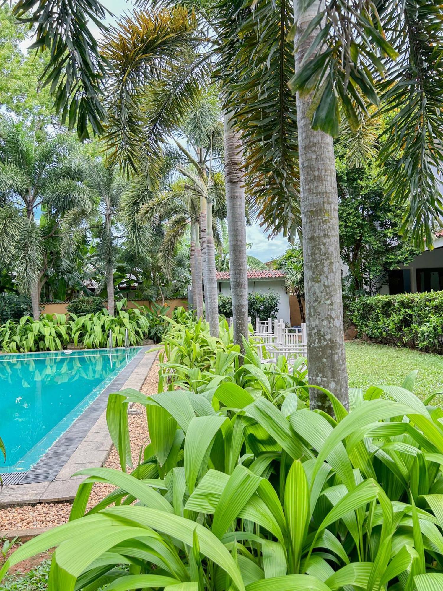 Wild Heaven Hotel Tissamaharama Exterior photo