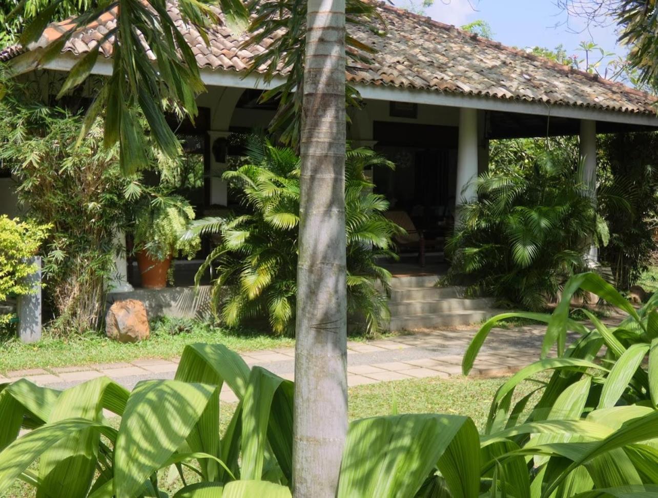 Wild Heaven Hotel Tissamaharama Exterior photo