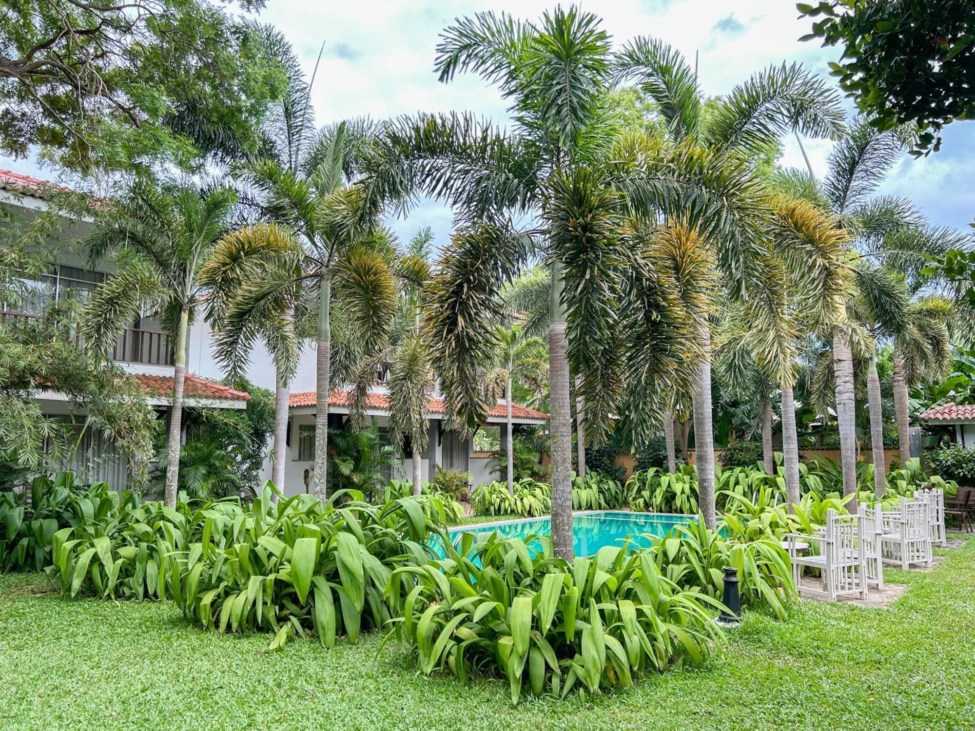 Wild Heaven Hotel Tissamaharama Exterior photo