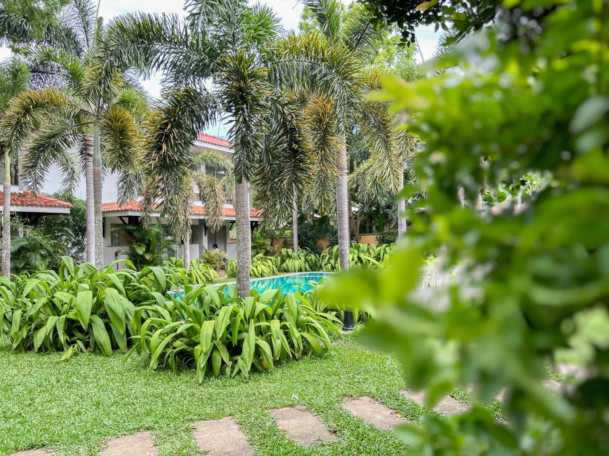 Wild Heaven Hotel Tissamaharama Exterior photo