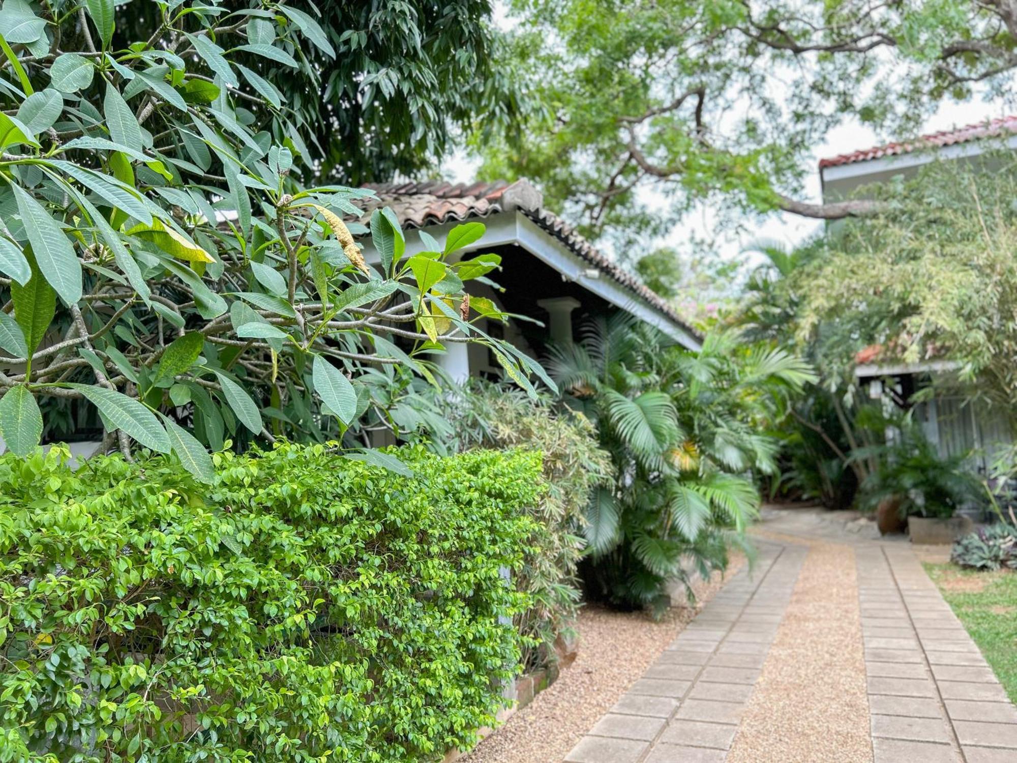 Wild Heaven Hotel Tissamaharama Exterior photo